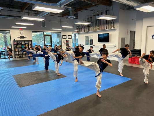 Kids Program - Our karate program for kids ages 8-12 offers an exciting and dynamic way for kids to develop essential life skills. Through disciplined training and fun activities, students improve their confidence, focus, and physical fitness while learning proven and effective self defense techniques in a supportive and safe environment. Join us!