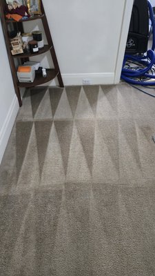 CLEANING STEAM SHAPOO CARPET SERVICE - CLEANING STEAM SHAMPOO CARPET SERVICE CLEANING STEAM SHAPOO CARPET SERVICE - CLEANING STEAM SHAMPOO CARPET SERVICE