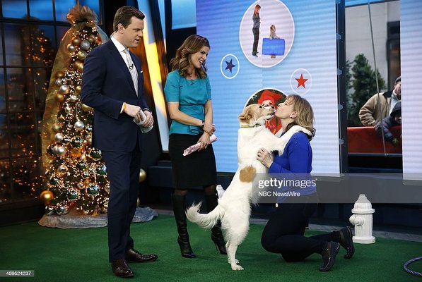 Babette on The Today Show - Babette was featured on the Today Show. She was training Natalie Morales dog to do a series of tricks. Babette on The Today Show - Babette was featured on the Today Show. She was training Natalie Morales dog to do a series of tricks.