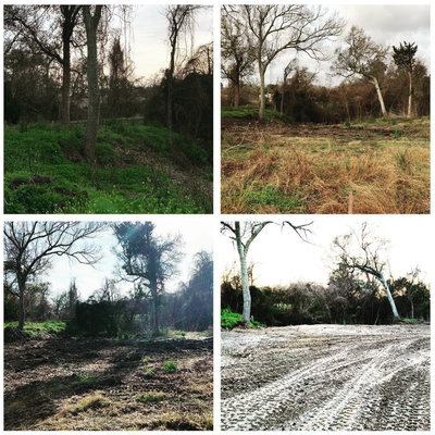 Land Clearing - Check out some recent projects and call now for a same day, itemized estimate! Land Clearing - Check out some recent projects and call now for a same day, itemized estimate!