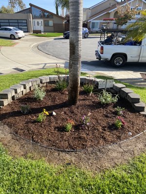 Low maintenance plant design project - The planters were instantly transformed with plants that don’t require a lot of water to cut back on our client’s water bill. These specific plants require less care and are great at thriving with less water. Low maintenance plant design project - The planters were instantly transformed with plants that don’t require a lot of water to cut back on our client’s water bill. These specific plants require less care and are great at thriving with less water.