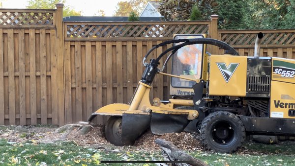 Stump Grinding / Removal - After proper tree removal, stump grinding is highly recommended for a clean appearance. In addition, stump grinding helps to avoid potentially hazardous situations with minimal damage to your New Jersey lawn. At J&L Budget Tree Service, LLC, our clients are our number one priority and we go the extra mile to make sure they’re completely satisfied. Stump grinding is an important step in the landscaping process in New Jersey. We remove all the debris after grinding so the area stays flat and ready to install new sod, soil, seed for grass or plant a new tree in the same location.
Our team of experienced and certified professionals is equipped with the latest equipment and techniques to deal with any stump problem. We'll take care of the entire process from start to finish, ensuring that your property is left clean and tidy at the end.
Call and schedule a free stump grinding consultation with the professionals at J & L Budget Tree Service today! Stump Grinding / Removal - After proper tree removal, stump grinding is highly recommended for a clean appearance. In addition, stump grinding helps to avoid potentially hazardous situations with minimal damage to your New Jersey lawn. At J&L Budget Tree Service, LLC, our clients are our number one priority and we go the extra mile to make sure they’re completely satisfied. Stump grinding is an important step in the landscaping process in New Jersey. We remove all the debris after grinding so the area stays flat and ready to install new sod, soil, seed for grass or plant a new tree in the same location.
Our team of experienced and certified professionals is equipped with the latest equipment and techniques to deal with any stump problem. We'll take care of the entire process from start to finish, ensuring that your property is left clean and tidy at the end.
Call and schedule a free stump grinding consultation with the professionals at J & L Budget Tree Service today!