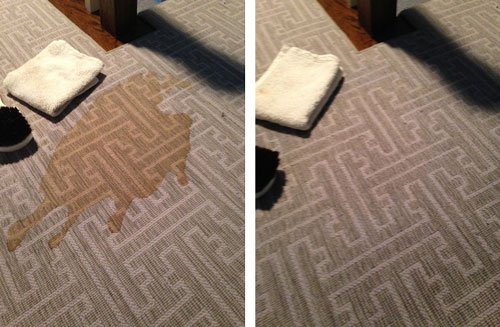 Rug cleaning - call 9179249309 to book your rug cleaning appointment today Rug cleaning - call 9179249309 to book your rug cleaning appointment today