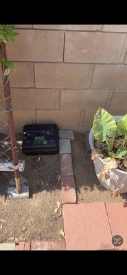 Gallant Rodent Bait Stations/Traps - Rodent station set up/trapping programs Gallant Rodent Bait Stations/Traps - Rodent station set up/trapping programs