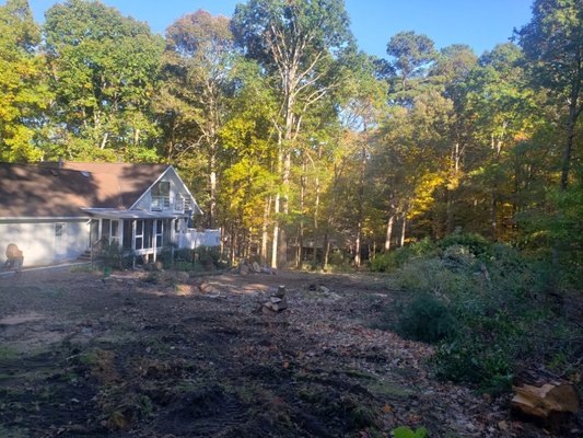 Land Clearing - This customer removed over 30 trees surrounding his home. Land Clearing - This customer removed over 30 trees surrounding his home.