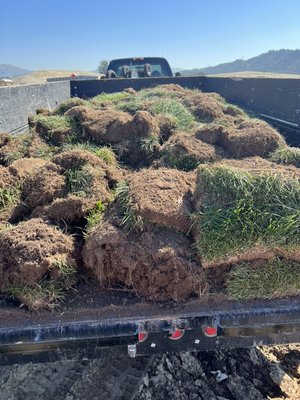 Landscaping projects - Here are some pictures of the landscaping projects we have worked on here in San Luis Obispo county. Landscaping projects - Here are some pictures of the landscaping projects we have worked on here in San Luis Obispo county.