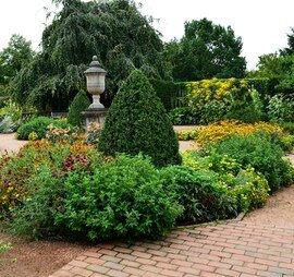 Planting and Maintenance - At our company, we specialize in professional planting services and all-inclusive tree care. From planting to trimming/pruning to removal, our team meets all your needs with precision and care. We stand out for our commitment to quality, taking the time to ensure each job is done the right way. As a result, our customers can enjoy beautiful and healthy plants and trees for years to come. Planting and Maintenance - At our company, we specialize in professional planting services and all-inclusive tree care. From planting to trimming/pruning to removal, our team meets all your needs with precision and care. We stand out for our commitment to quality, taking the time to ensure each job is done the right way. As a result, our customers can enjoy beautiful and healthy plants and trees for years to come.