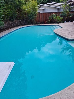 algae removal. - This algae removal was done on a twenty thousand gallon fiberglass pool with green and yellow algae present. algae removal. - This algae removal was done on a twenty thousand gallon fiberglass pool with green and yellow algae present.