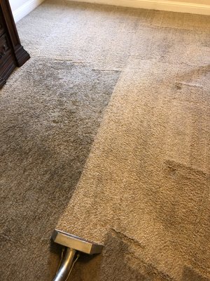 My Work - Carpet cleaning, carpet stretching, carpet repair, upholstery cleaning, pet odor removal My Work - Carpet cleaning, carpet stretching, carpet repair, upholstery cleaning, pet odor removal
