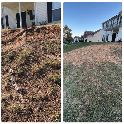 Root Exposed Grinding & Removal - Do you have stumps with exposed roots that need to be grinded down ? Call for details!!!