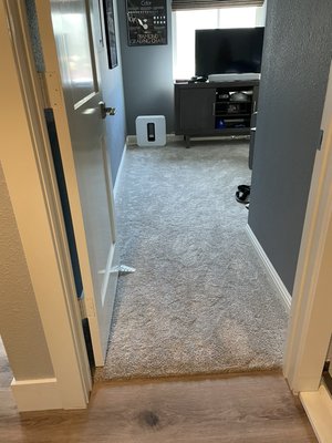 Carpet Installation - Luxury vinyl plank flooring with full carpet replacement Carpet Installation - Luxury vinyl plank flooring with full carpet replacement