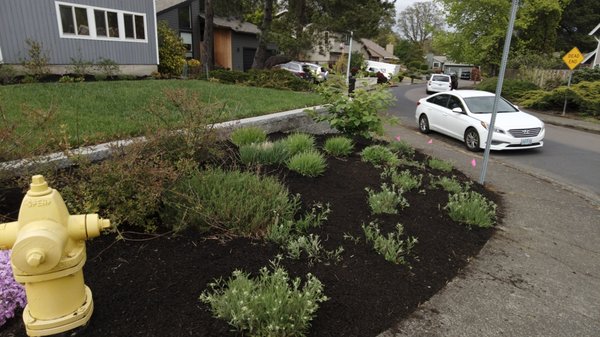 Bark - We where able to finish placing mulch in under 2 hours we made sure the mulch was laid about 2 inch’s thick