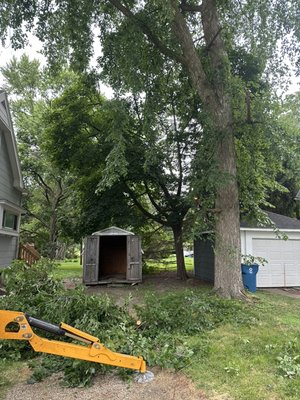 Tree removal - Here is a tree job Rings construction did due to it being cracked down the center of the tree the customer new it was unsafe so we got it out of the way Tree removal - Here is a tree job Rings construction did due to it being cracked down the center of the tree the customer new it was unsafe so we got it out of the way