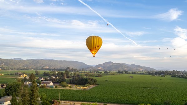 Hot Air Balloon Flights - Embark on a visual journey with Napa Valley Balloons! Our gallery of 10 exquisite images captures the breathtaking moments of hot air balloons ascending from Hill Family Estates in Yountville, California.
Glide over the world-renowned Oak Knoll AVA, and witness the magic of the morning sunrise as it peeks over the western Palisades. Each photograph encapsulates the essence of these unforgettable flights, revealing a Napa Valley that's as serene as it is thrilling.
Whether you're an adventure enthusiast or a lover of natural beauty, our gallery will spark your imagination and perhaps inspire your next adventure with us. Click through and let your dreams soar with Napa Valley Balloons! Hot Air Balloon Flights - Embark on a visual journey with Napa Valley Balloons! Our gallery of 10 exquisite images captures the breathtaking moments of hot air balloons ascending from Hill Family Estates in Yountville, California.
Glide over the world-renowned Oak Knoll AVA, and witness the magic of the morning sunrise as it peeks over the western Palisades. Each photograph encapsulates the essence of these unforgettable flights, revealing a Napa Valley that's as serene as it is thrilling.
Whether you're an adventure enthusiast or a lover of natural beauty, our gallery will spark your imagination and perhaps inspire your next adventure with us. Click through and let your dreams soar with Napa Valley Balloons!