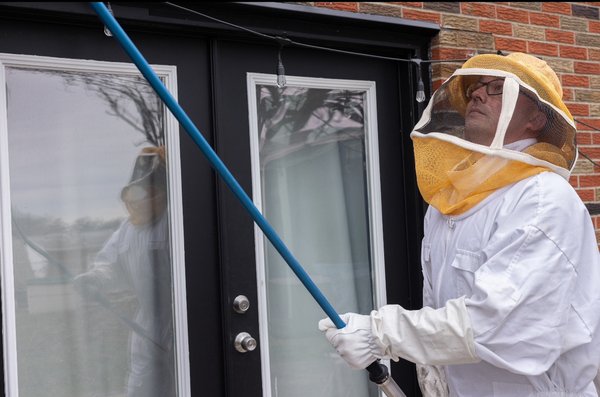 Yellow jacket treatment - Most customers who call have a nest that is submerged when it comes to yellow jackets we typically get in the hole with the hydraulic duster, and most cases are solved within 24 hours
