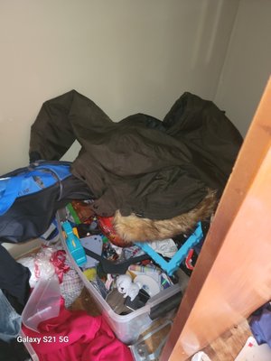 whole house cleanout - the owner rented this home out for 20 years. The tenants left it a mess. Warren junk removal to the rescue. whole house cleanout - the owner rented this home out for 20 years. The tenants left it a mess. Warren junk removal to the rescue.