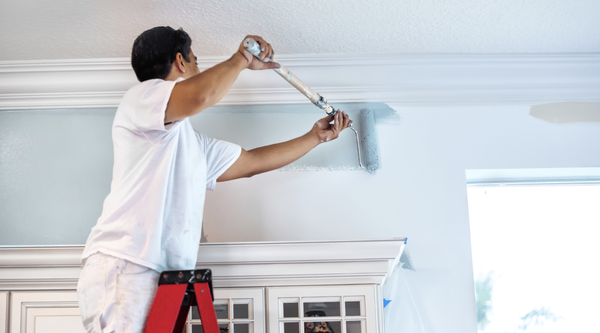 Painting - Looking to refresh a room in your home with a new paint job? Let me help you! Call and book your appointment today. Painting - Looking to refresh a room in your home with a new paint job? Let me help you! Call and book your appointment today.