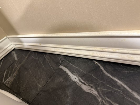 Baseboard Before V.S After - This bathroom baseboard was covered in dust and urine and definitely needed a little love. Check out the after photo of how it SPARKLES after I worked magic!