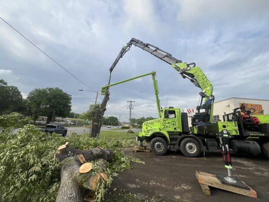 Tree Services and Removal - Tree trimming and pruning not only benefit you and your home, but they can also benefit the health of your trees. Tree pruning is the process of removing any diseased or damaged branches to prolong the life of a tree and ensure its health. Give us a call today for tree care in Hickory, NC, and surrounding areas. Tree Services and Removal - Tree trimming and pruning not only benefit you and your home, but they can also benefit the health of your trees. Tree pruning is the process of removing any diseased or damaged branches to prolong the life of a tree and ensure its health. Give us a call today for tree care in Hickory, NC, and surrounding areas.