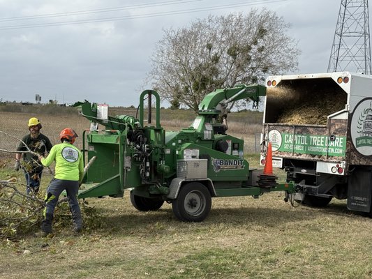 Tree Removal - When a tree poses a safety hazard, is dead or diseased, or has outgrown its space, our team provides safe and efficient removal services. We handle jobs of all sizes using precise techniques to protect your property and landscaping. As a fully insured tree care company, we ensure every technical removal is completed safely and cleanly, with full stump removal and site cleanup included.