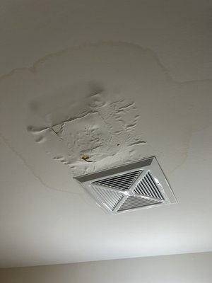 ceiling repair - ceiling repair