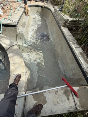 Chlorine Wash - We specialize in doing all size Pool Chlorine Washes! Chlorine Wash - We specialize in doing all size Pool Chlorine Washes!