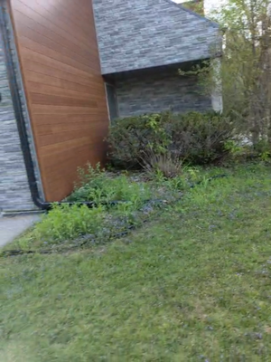 renew pro side - Minimal maintainance garden in a propiety side place renew pro side - Minimal maintainance garden in a propiety side place