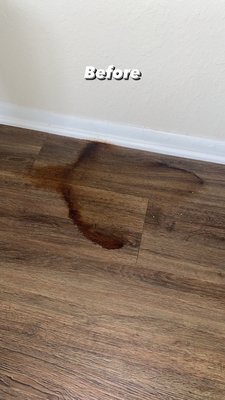Move out cleaning - Another Happy Client!
Just wrapped up a move-out clean for a 1 bed, 1 bath apartment in the South Florida area! Our team went above and beyond to make sure the place is spotless and ready for the next tenant. Moving out? Let us handle the cleaning so you can focus on your move. We’re your go-to cleaning experts in South Florida!
Contact us today for a free quote and experience a stress-free move!
#MoveOutCleaning #SouthFloridaCleaners #DeepCleaning #ApartmentCleaning #ProfessionalCleaners #SpotlessHome #MoveOutClean #CleanApartment #EndOfLeaseCleaning #CleaningExperts #LocalCleaners #CleaningCompany #1Bed1BathCleaning #MoveWithEase #CleanHomeHappyHome Move out cleaning - Another Happy Client!
Just wrapped up a move-out clean for a 1 bed, 1 bath apartment in the South Florida area! Our team went above and beyond to make sure the place is spotless and ready for the next tenant. Moving out? Let us handle the cleaning so you can focus on your move. We’re your go-to cleaning experts in South Florida!
Contact us today for a free quote and experience a stress-free move!
#MoveOutCleaning #SouthFloridaCleaners #DeepCleaning #ApartmentCleaning #ProfessionalCleaners #SpotlessHome #MoveOutClean #CleanApartment #EndOfLeaseCleaning #CleaningExperts #LocalCleaners #CleaningCompany #1Bed1BathCleaning #MoveWithEase #CleanHomeHappyHome