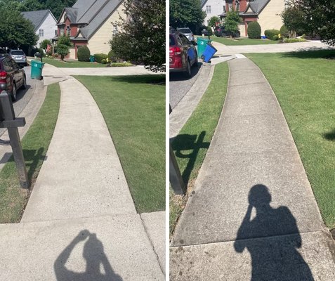 Sidewalk Pressure Washing - This sidewalk was in a terrible condition before being cleaned as there was mold, lichen and other bacterias growing all over the sidewalk. Luckily with the help of our high-powered pressure washer, we were able to put this sidewalk back in pristine condition.