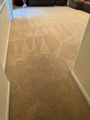 Before and After - We are a local business that provides superior Residential and Commercial Carpet Cleaning. We offer steam cleaning for carpet, tile and grout, spot stain treatment, pet odor control, area rug, for your home, office or business. Before and After - We are a local business that provides superior Residential and Commercial Carpet Cleaning. We offer steam cleaning for carpet, tile and grout, spot stain treatment, pet odor control, area rug, for your home, office or business.