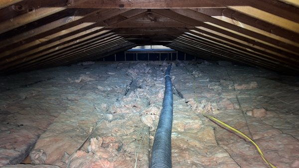 Attic insulation fixed & Attic Blow In insulation - Customer from North Carolina wanted their attic insulated with blow insulation! We made sure everything was fine and fixed before insulating on top of the existing insulation. He also requested to be brought up to 14inches (R38). We quoted him a good price and charged him nothing to fix the existing insulation in the attic! Attic insulation fixed & Attic Blow In insulation - Customer from North Carolina wanted their attic insulated with blow insulation! We made sure everything was fine and fixed before insulating on top of the existing insulation. He also requested to be brought up to 14inches (R38). We quoted him a good price and charged him nothing to fix the existing insulation in the attic!