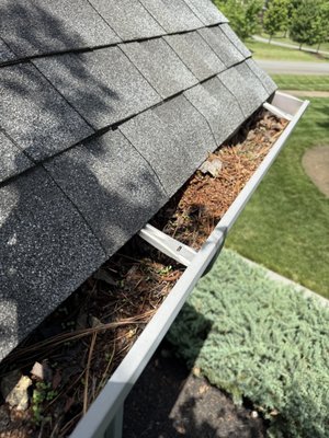 Gutter cleaning at height — job done right 👍 - Cleaned gutters on a multi-story home today — a lot of buildup and debris that needed to be safely removed. Worked carefully at height, made sure everything was fully cleared and flowing properly again.
Now the gutters are clean and working like they should.
The client was very happy with the result and peace of mind 💪
Need your gutters cleaned or maintained? Message me anytime. Gutter cleaning at height — job done right 👍 - Cleaned gutters on a multi-story home today — a lot of buildup and debris that needed to be safely removed. Worked carefully at height, made sure everything was fully cleared and flowing properly again.
Now the gutters are clean and working like they should.
The client was very happy with the result and peace of mind 💪
Need your gutters cleaned or maintained? Message me anytime.