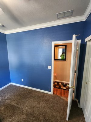 paint and baseboard - We painted the walls and refurbished baseboards