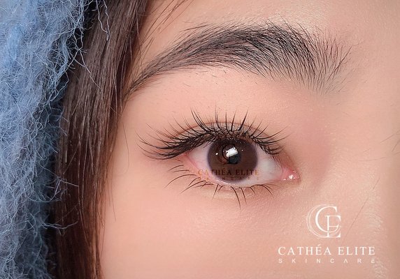 Lash Extensions - Each of our lash set is designed to enhance the natural eye shape with a soft, airy finish. Each extension is carefully customized based on the client’s eye structure and lash condition, creating a refined and effortless look.
• Lash consultation
• Customized lash mapping
• Premium Korean / Japanese lashes
• Sensitive adhesive option Lash Extensions - Each of our lash set is designed to enhance the natural eye shape with a soft, airy finish. Each extension is carefully customized based on the client’s eye structure and lash condition, creating a refined and effortless look.
• Lash consultation
• Customized lash mapping
• Premium Korean / Japanese lashes
• Sensitive adhesive option