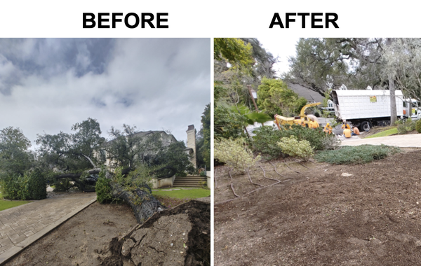 Tree Removal - We are a family owned and operated tree service business with 30+ years of experience. We are licensed and bonded. We specialize in tree trimming, removal, and maintenance, providing quality services to enhance the safety and appearance of residential and commercial properties. We also provide maintenance for fire mitigation, which includes slopeside cleanups. We pride ourselves in great service, affordable prices and professionalism. Call us today for a free estimate! Tree Removal - We are a family owned and operated tree service business with 30+ years of experience. We are licensed and bonded. We specialize in tree trimming, removal, and maintenance, providing quality services to enhance the safety and appearance of residential and commercial properties. We also provide maintenance for fire mitigation, which includes slopeside cleanups. We pride ourselves in great service, affordable prices and professionalism. Call us today for a free estimate!