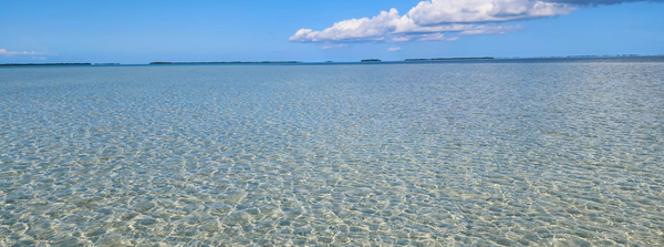 SANDBAR TOURS - SANDBAR TOURS SANDBAR TOURS - SANDBAR TOURS