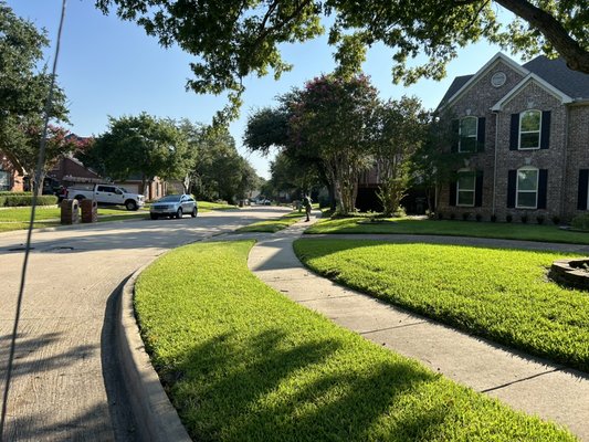 Our services in real time. - We make the grass greener on your side of the fence. Our services in real time. - We make the grass greener on your side of the fence.