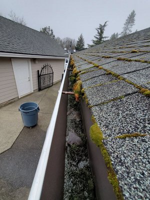 Moss Removal / Gutter Cleaning - Moss removal and gutter cleaning. Moss Removal / Gutter Cleaning - Moss removal and gutter cleaning.