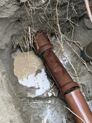 Sally Reavis Street Excavation. - Ms Reavis had a full collapse of her sewer line under a main arterial in Queen Anne, Seattle. 
We provided an upfront and honest estimate of the work. 
We hydro excavated a 9’ deep hole to uncover the break and repair the pipe. 
We then hydro jetted and installed liners replacing the entire sewer. 
At Pipers Drain Repair we take pride in honest and upfront solutions to fix any problem. 
Don’t hesitate to call us 24/7 for any sewer or jetting related problems.