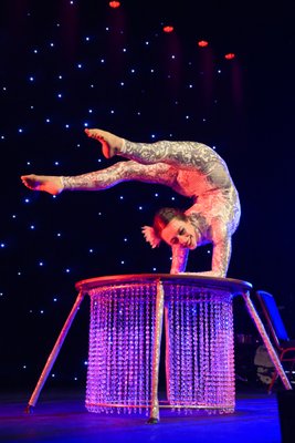 Contortionists - At CG Entertainment, we pride ourselves on being the foremost provider of top-quality dance, circus, and performance art talent in the Pacific Northwest. Based in the vibrant cultural hub of the region, we serve clients throughout Oregon and Washington, delivering unforgettable experiences for corporate events, weddings, and community gatherings. With our Vegas-style flair and commitment to excellence, we bring your events to life with mesmerizing contortion acts that leave audiences in awe.

Contortion is a captivating art form that showcases the remarkable flexibility and agility of the human body. It involves bending, twisting, and contorting the body into astonishing and often seemingly impossible positions. Contortionists, also known as contortion artists, demonstrate extraordinary control over their muscles and joints, allowing them to achieve extreme positions with grace and precision.  Contortion is popular in the circus arts and is found throughout art and pop-culture in music videos, film, TV, and of course, event entertainment!

The art of contortion is mesmerizing and awe inspiring and the compliment to many events!  We have solo, duets, and trio’s available!  Our contortionists are available for staged performances to fit any theme or as ambient entertainment throughout the course of your event!

We have performances and costuming that are family friendly as well as acts and costuming that work well in an adult nightlife environment!  We can always adjust our performances and costuming to fit into all types of events from corporate parties, community events and fairs, to private themed parties such as adult Halloween parties or circus themed weddings!  We represent the best performers available in the Pacific Northwest and streamline the entire process of hiring performers, scheduling, costuming, and AV and onsite support!  We also have customizable tables and other apparatuses for our performers to match the theme and aesthetic of your event!