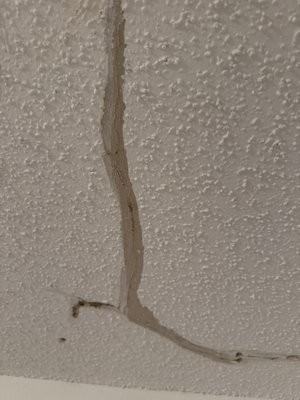 Ceiling Substrate Crack Remediation Project - A repair was carried out on the ceiling, which had two cracks caused by a structural fracture. At the owner's request, the affected area was restored and patched rather than being completely replaced, resulting in a uniform and stable surface.