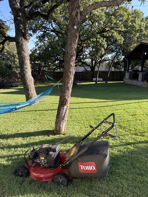 Fresh cuts - Fresh cuts and fresh lines on customer projects. Give us a call or text today to get on schedule Fresh cuts - Fresh cuts and fresh lines on customer projects. Give us a call or text today to get on schedule