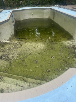 Pebble tech acid wash - The customer said he needed his pool stain free and cleared out ASAP. 2 days later his pull was filled and ready for use
