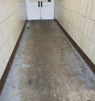 Epoxy Floors, Interior/Exterior Paintng/Staining - From touch-ups to full makeovers, trust our team for a flawless finish. Epoxy Floors, Interior/Exterior Paintng/Staining - From touch-ups to full makeovers, trust our team for a flawless finish.