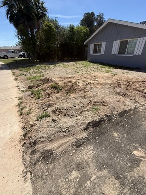 Weed removal and application of chemicals to prevent weeds - Weed removal and application of chemicals to prevent weeds Weed removal and application of chemicals to prevent weeds - Weed removal and application of chemicals to prevent weeds