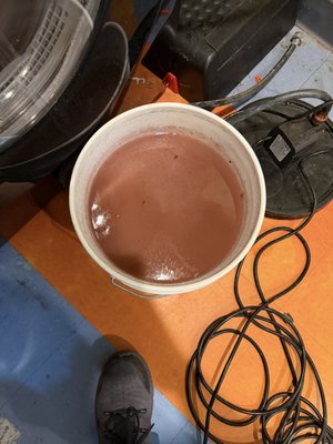 Tankless Water Heater Flush & Descale - Falls Church, VA - This tankless unit hadn't been serviced in a while, and the flush showed it. We hooked a circulation pump to the service valves and ran descaling solution through the heat exchanger. The first rinse came out rust-brown with sediment. Then it turned blue-green as the solution broke down mineral and copper buildup. We kept cycling until the water ran clear.
Northern Virginia's hard water leaves scale inside tankless heaters. That scale cuts efficiency and can trigger error codes. Most manufacturers recommend a flush once a year to keep the unit running right and the warranty intact. Tankless Water Heater Flush & Descale - Falls Church, VA - This tankless unit hadn't been serviced in a while, and the flush showed it. We hooked a circulation pump to the service valves and ran descaling solution through the heat exchanger. The first rinse came out rust-brown with sediment. Then it turned blue-green as the solution broke down mineral and copper buildup. We kept cycling until the water ran clear.
Northern Virginia's hard water leaves scale inside tankless heaters. That scale cuts efficiency and can trigger error codes. Most manufacturers recommend a flush once a year to keep the unit running right and the warranty intact.