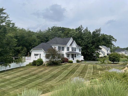 New client Bedford New Hampshire - The client wasn’t happy with her lawn care company. So she reached out to Carl smith for a walk through of property. She was very impressed with his ability to tell her what the company wasn’t doing and told her what he can offer her. She hired Carl smith and now 3 years later still happy with his services. Weekly lawn mowing and full service year round.