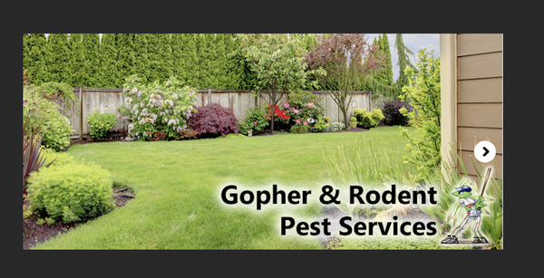 Gopher & Rodent Pest Services - Gopher & Rodent Pest Services Gopher & Rodent Pest Services - Gopher & Rodent Pest Services