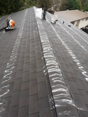 Roof Cleaning - These cleaning was done satisfactory. Most of the roof was covered with a lot of moss. Roof Cleaning - These cleaning was done satisfactory. Most of the roof was covered with a lot of moss.