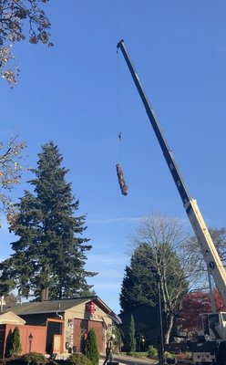 Tree Crane Removal - Crane tree removals, tree removal, tree cutting. Tree trimming, pruning, wood haul, stump grinding, lot clearing.